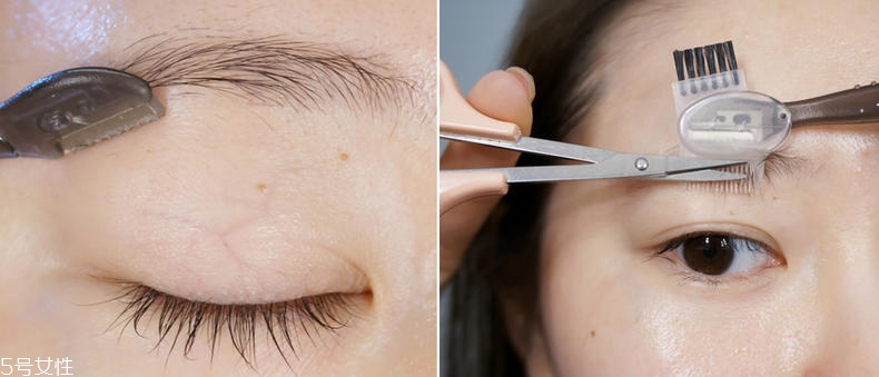 ��ʽƽü��ô�� ��ʽƽü����ϸ����